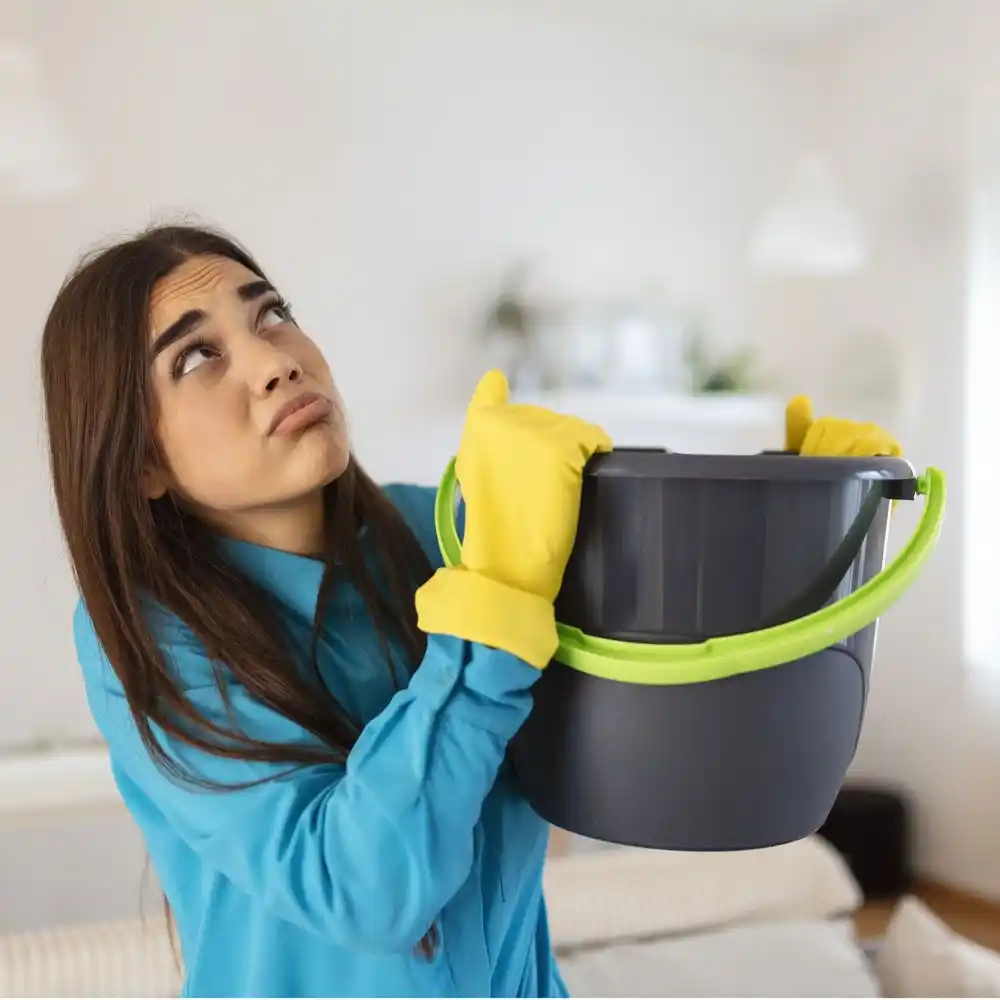 water damage restoration service Mountain View